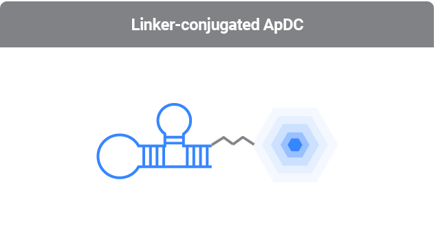 ApDC 이미지