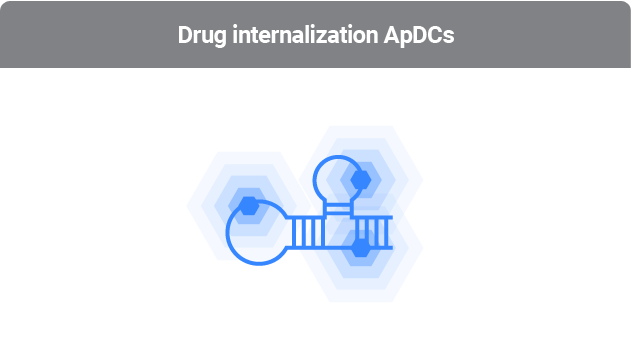 ApDC 이미지