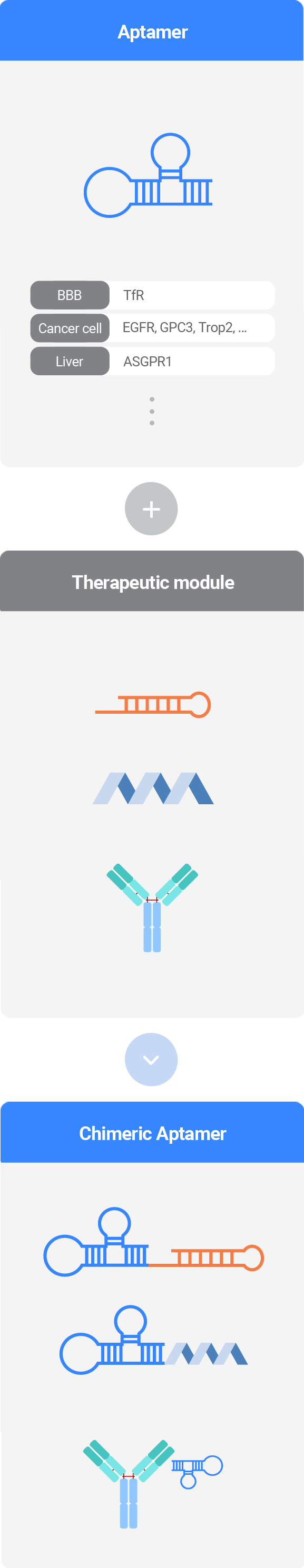 Chimeric Aptamer 모바일 이미지