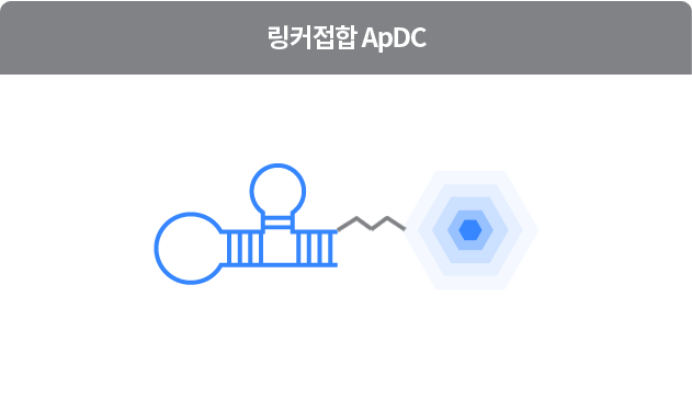 ApDC 이미지