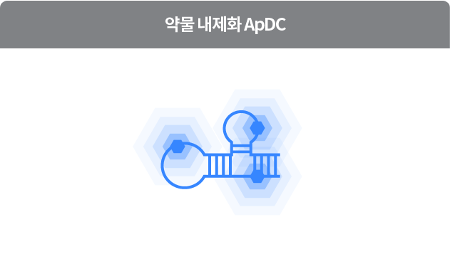 ApDC 이미지