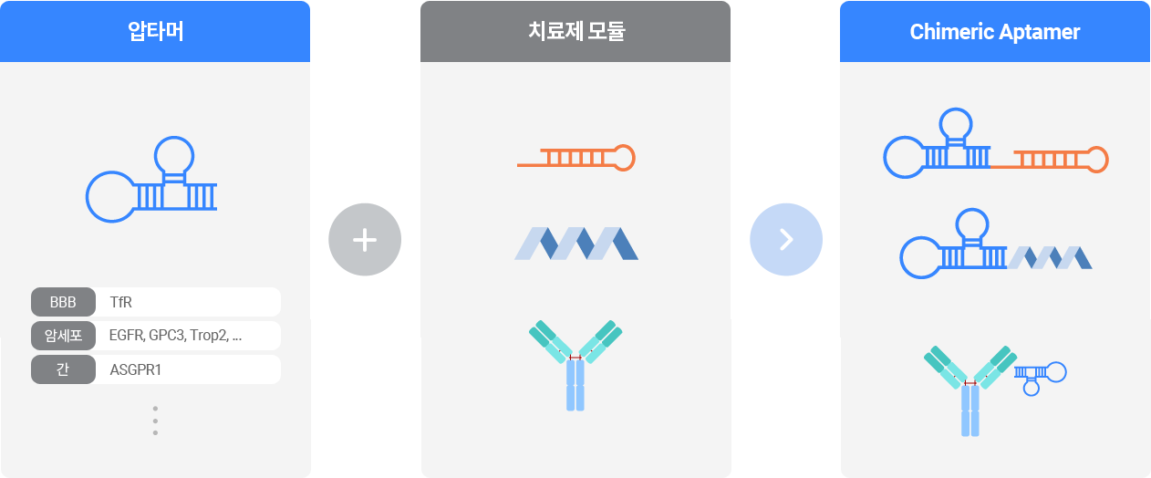 Chimeric Aptamer 이미지