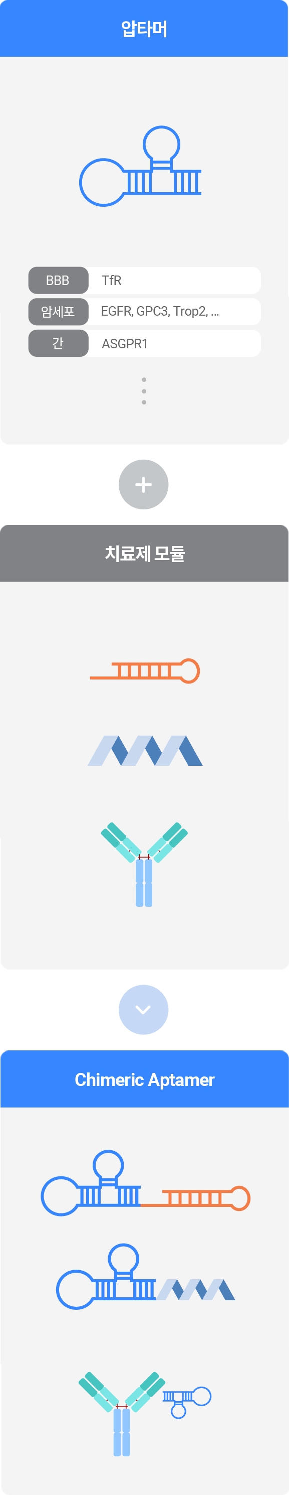 Chimeric Aptamer 모바일 이미지